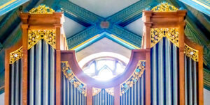 OrganSlideShow_Website1