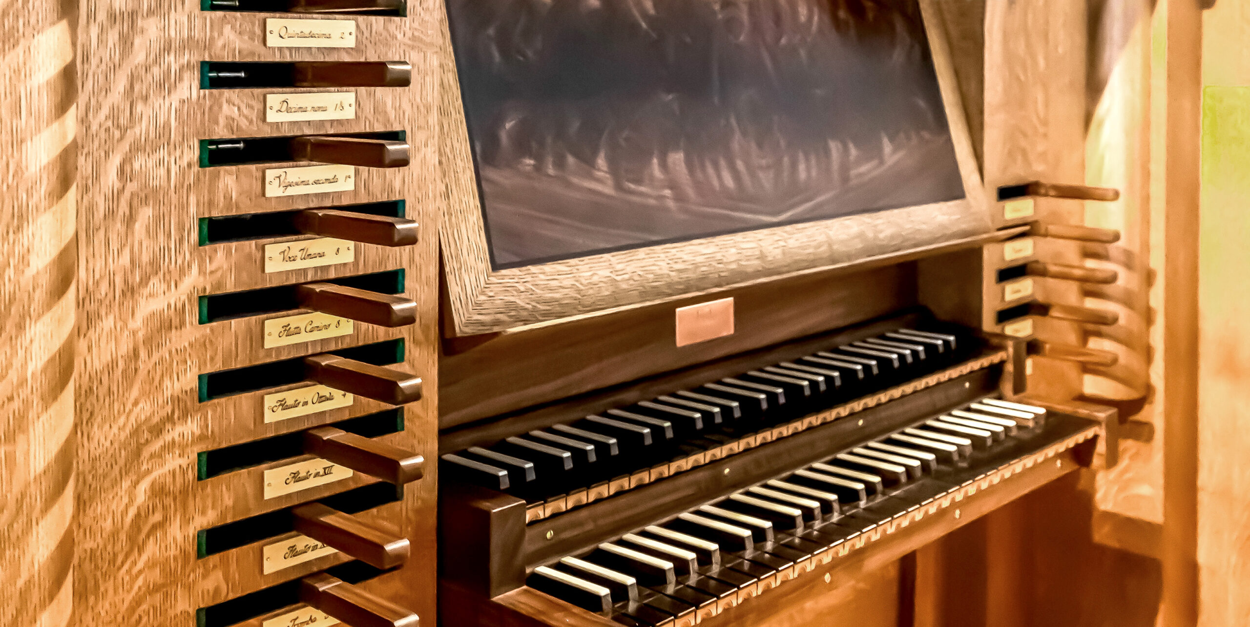 OrganSlideShow_Website3