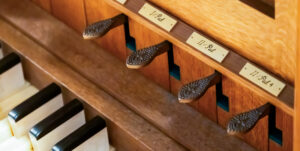 OrganSlideShow_Website4