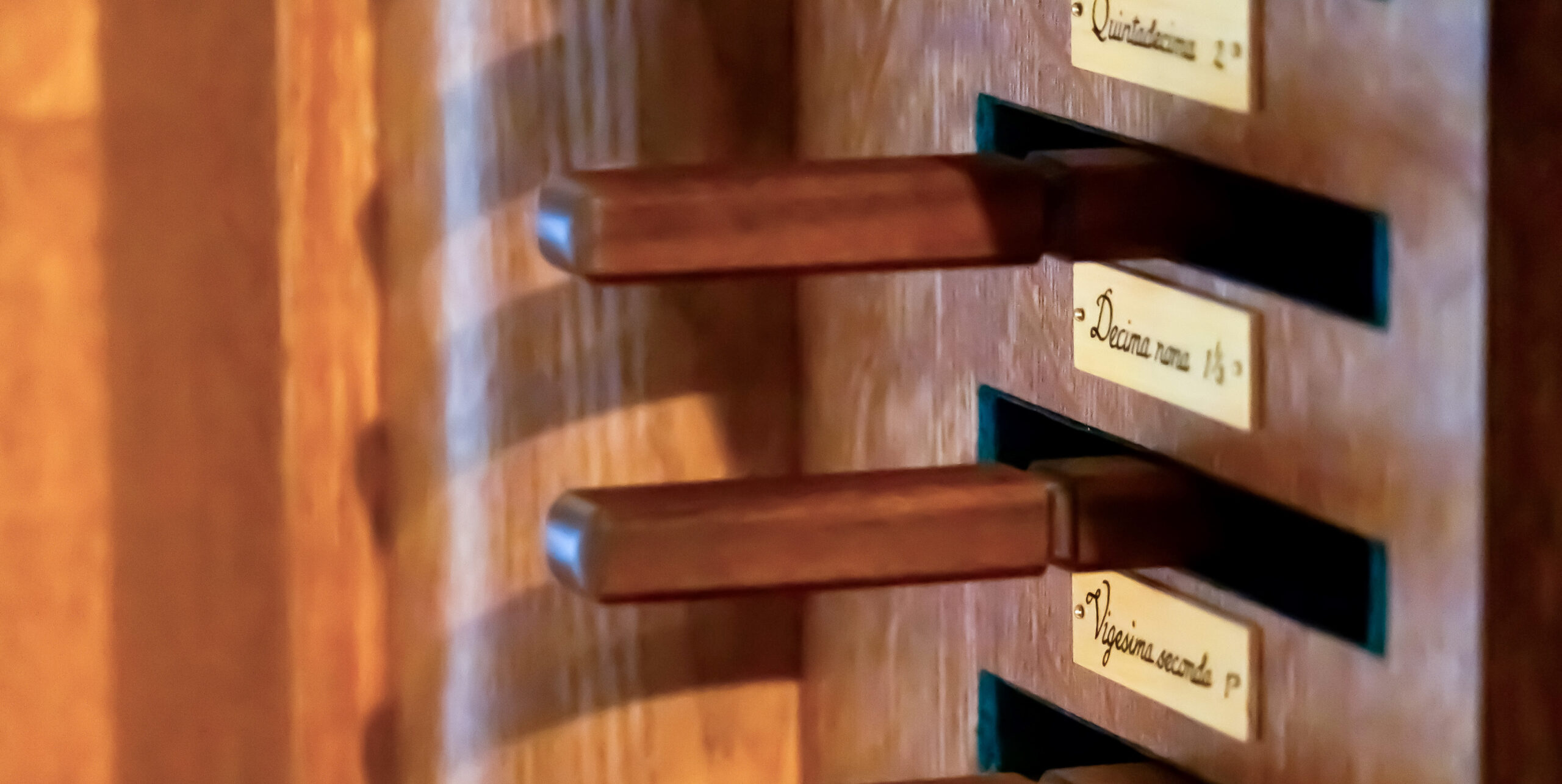 OrganSlideShow_Website5