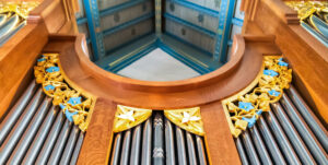 OrganSlideShow_Website7