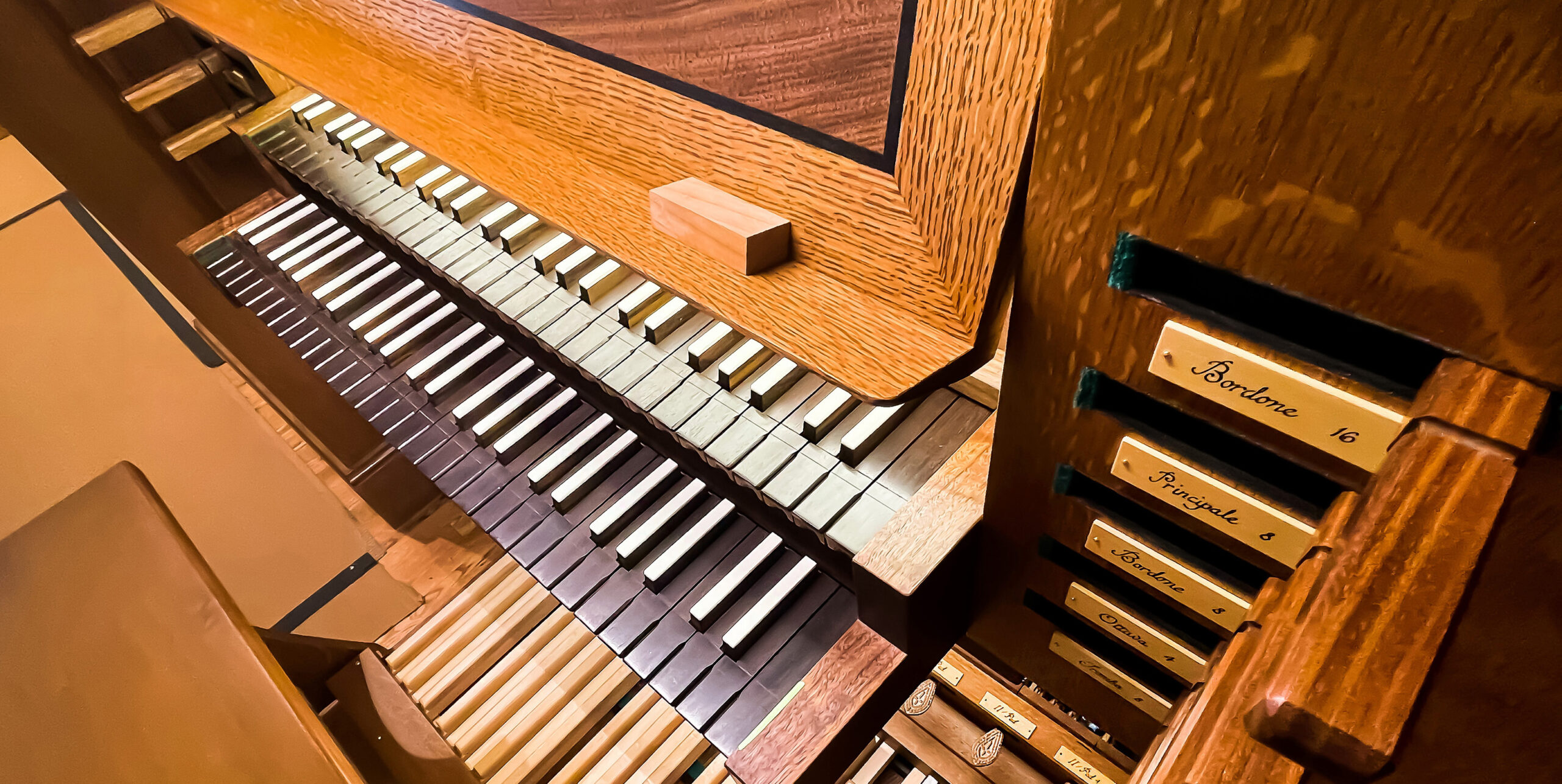 OrganSlideShow_Website8