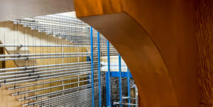 OrganSlideShow_Website9